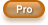 Pro